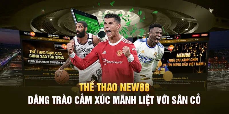 Chơi cá cược thể thao tại New88