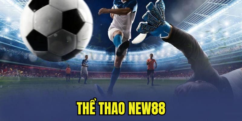 Thể thao New88