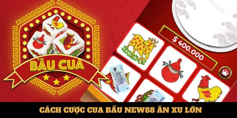 Cách cược cua bầu ăn xu lớn