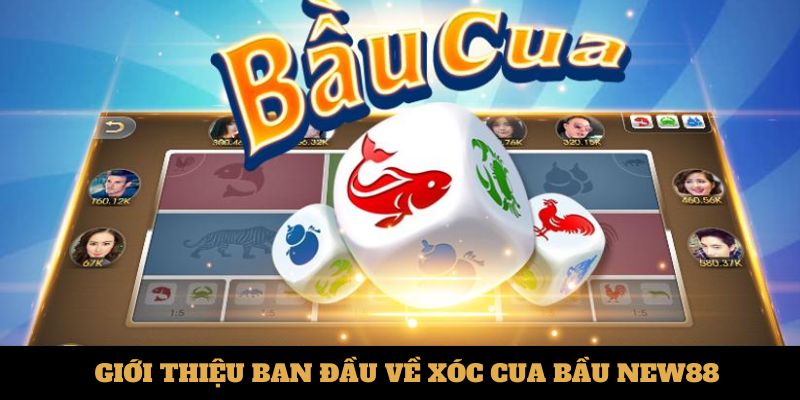 Giới thiệu ban đầu về xóc cua bầu