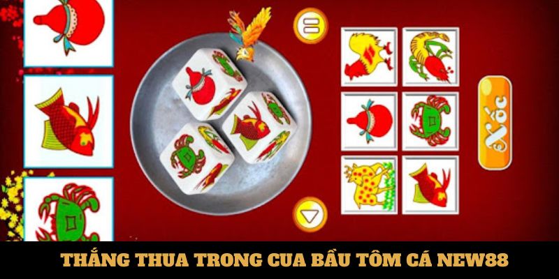 Thắng thua trong cua bầu tôm cá